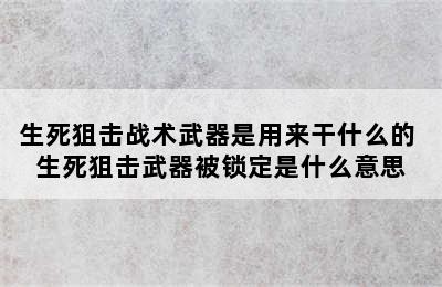 生死狙击战术武器是用来干什么的 生死狙击武器被锁定是什么意思